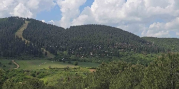 Gökyüzünde pelikan şöleni