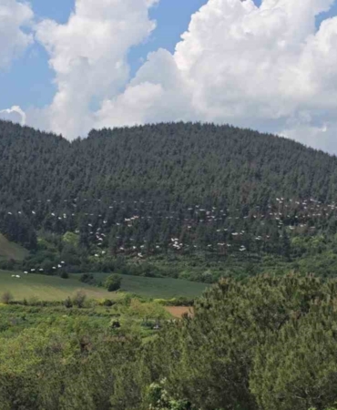 Gökyüzünde pelikan şöleni