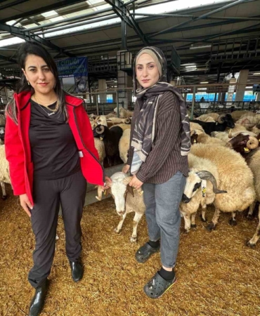 İki genç kuzen celep, Bursa’daki kurban pazarında rekabeti artırdı