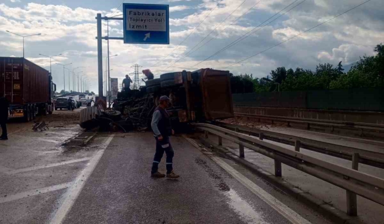 Köpeğe çarpmamak için manevra yapan kamyon bariyere çarpıp yan yattı