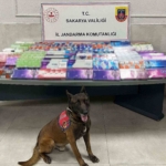Sakarya’da kaçakçılığa jandarma izin vermiyor