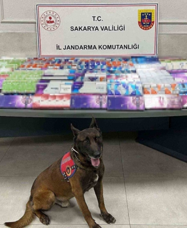 Sakarya’da kaçakçılığa jandarma izin vermiyor