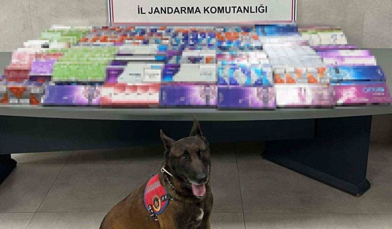 Sakarya’da kaçakçılığa jandarma izin vermiyor