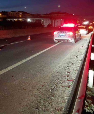 Yola çıkan atlar zincirleme kazaya neden oldu