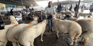 Asırlık gelenek fiyatıyla da dikkat çekiyor