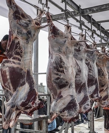 Uzunköprü’de "Kurban Kesim Elemanı Kursu" açılıyor