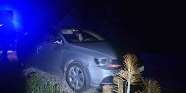 Seyir halindeki otomobile geyik çarptı: 2 yaralı