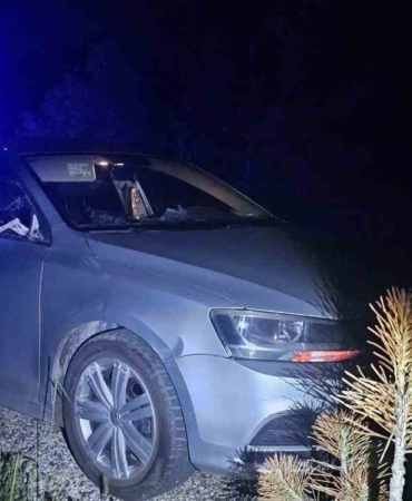 Seyir halindeki otomobile geyik çarptı: 2 yaralı