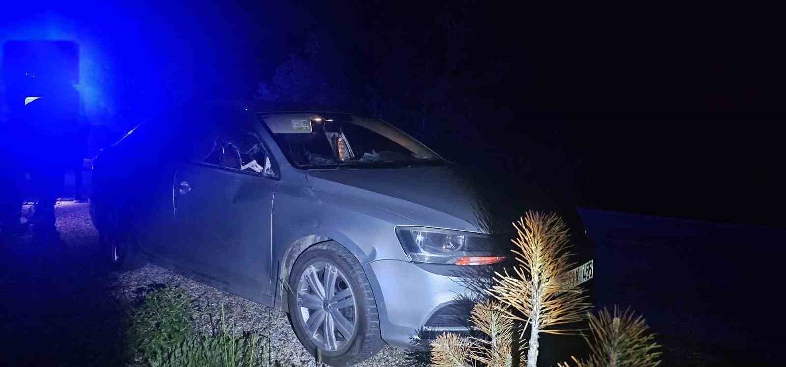 Seyir halindeki otomobile geyik çarptı: 2 yaralı