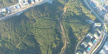 Kağıthane ’orman şehri’ oldu