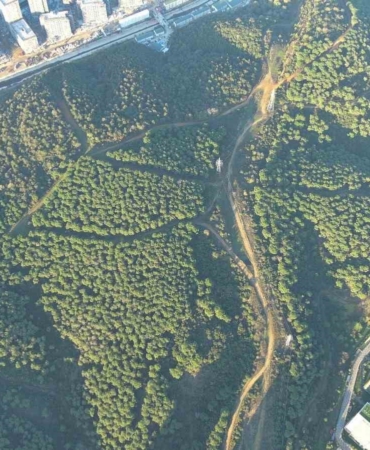 Kağıthane ’orman şehri’ oldu