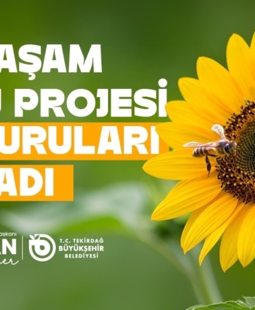 Tekirdağ’da arıcılara yem desteği başvuruları başladı