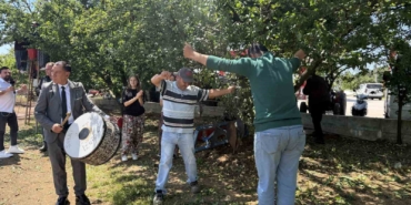 Davullu zurnalı erik hasadı