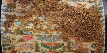Çanakkale’de evinde uyuşturucu yetiştiren 2 kişi yakalandı