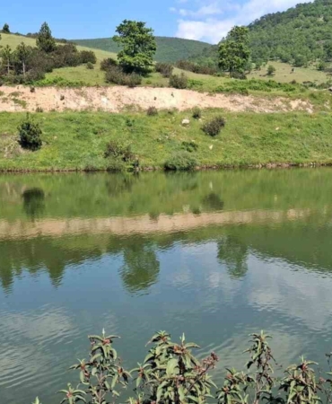 Arkadaşlarıyla girdiği gölette can verdi