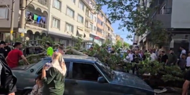 Devrilen ağacın altında kalan motosiklet sürücüsünün durumu ağır