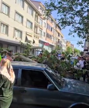Devrilen ağacın altında kalan motosiklet sürücüsünün durumu ağır