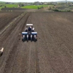 Tekirdağ’da ayçiçeği ekimi