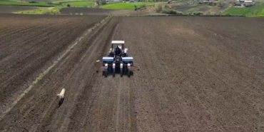 Tekirdağ’da ayçiçeği ekimi