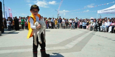 Çanakkale’de ’Boğazın Minik Çobanları’ yarışması