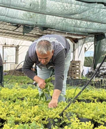 İklim değişikliği ve kuraklık nedeniyle su tasarruflu peyzaj dönemi