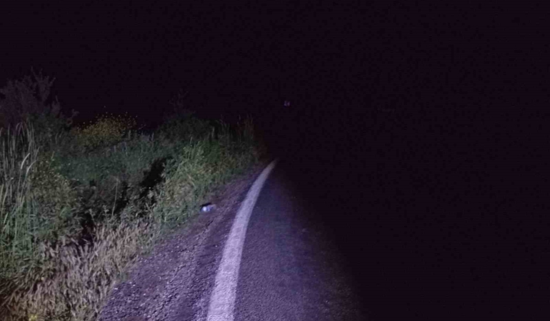 Bilecik’te motosiklet kazasında 1 kişi yaralandı