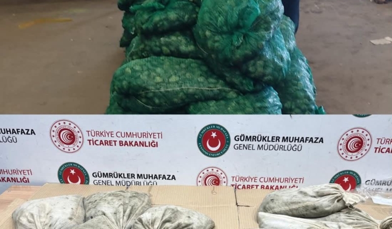 Kapıkule’de 760 kilo kaçak midye ele geçirildi