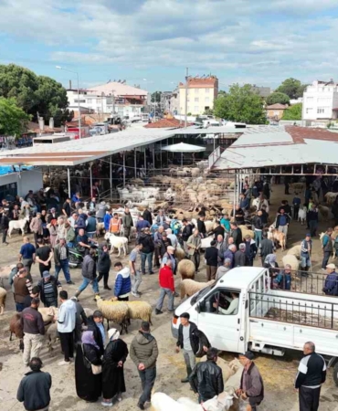 Havran Hayvan Pazarı’nda tarihi arefe yoğunluğu