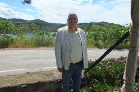 Havran Barajındaki su seviyesi zeytincileri sevindirdi