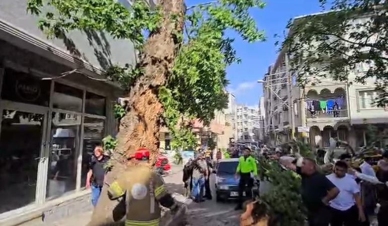 Bursa’da seyir halindeki araçların üzerine ağaç devrildi: 1 kişi yaralandı