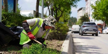 Bilecik’te park ve bahçeler müdürlüğünden yaza hazırlık çalışmaları