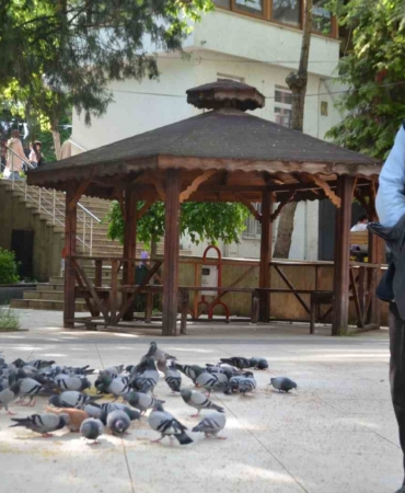 Bu bayramda eşini dostunu bıraktı, beslediği kuşlara koştu