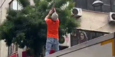 Pendik’te elektrik tellerine takılan martı kurtarıldı