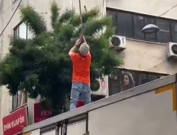 Pendik’te elektrik tellerine takılan martı kurtarıldı