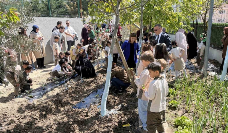 İlkokul öğrencileri, çilek fidelerini toprakla buluşturdu