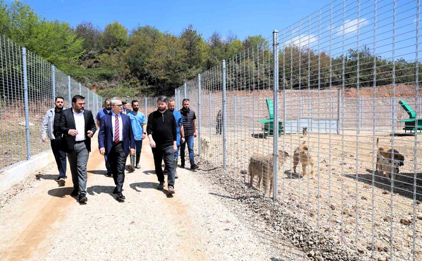 Kocaeli’de 650 köpek kapasiteli yeni barınak hizmete alındı