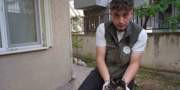 Mazgalda sıkışan kedi yavruları kurtarıldı