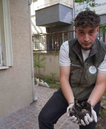 Mazgalda sıkışan kedi yavruları kurtarıldı