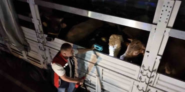 Kurban Bayramı öncesi İstanbul’da sevk noktalarında yoğun mesai