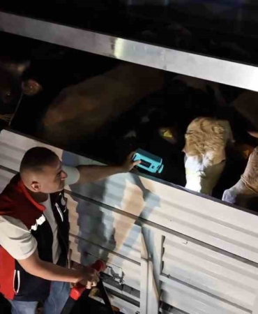 Kurban Bayramı öncesi İstanbul’da sevk noktalarında yoğun mesai