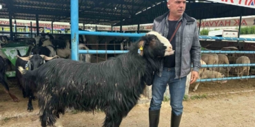 Bursa’daki kurban pazarının şampiyon keçisi 47 bin liradan satıldı