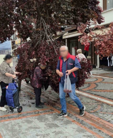 Şiddetli rüzgarda yağmur yağdı, ağaç kırıldı: Vatandaşlar erik peşine düştü