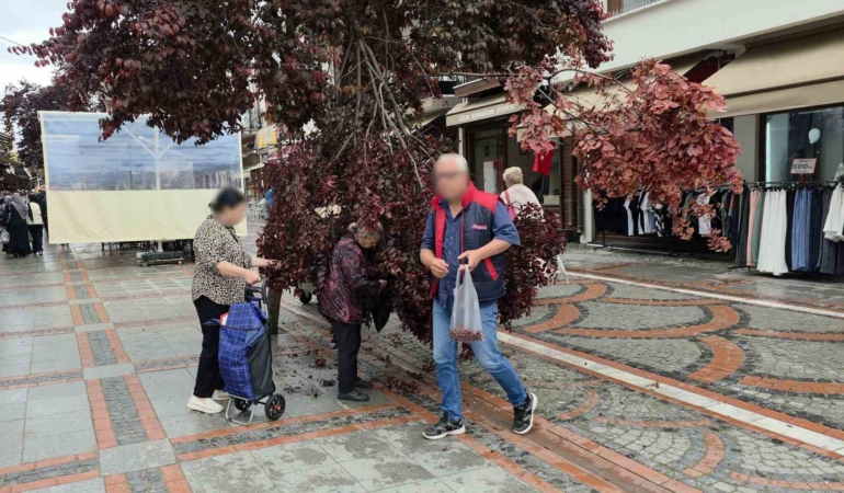 Şiddetli rüzgarda yağmur yağdı, ağaç kırıldı: Vatandaşlar erik peşine düştü