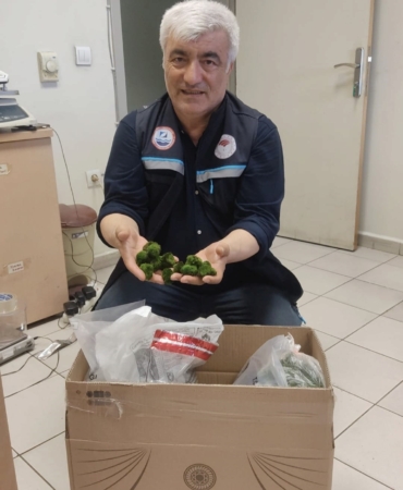 Kapıkule’de yolcu otobüsünde 2 bin adet canlı yeşil alg ele geçirildi