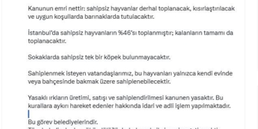 İstanbul Valisi Davut Gül: "Sahipsiz hayvanların yüzde 46’sı toplanmıştır; kalanların tamamı da toplanacaktır"