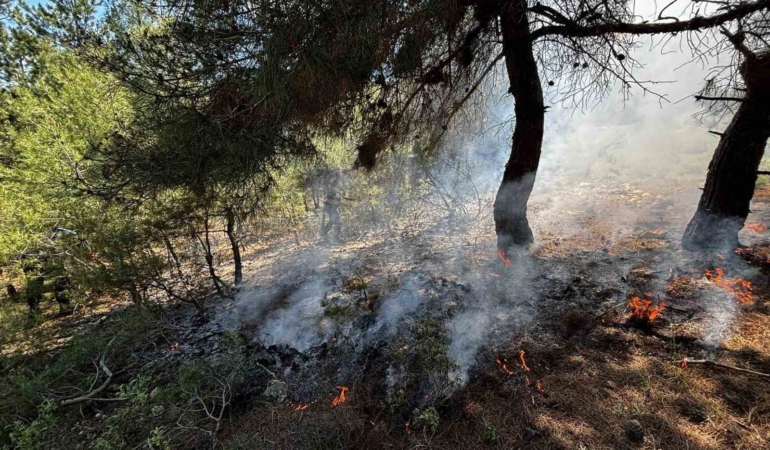 Bilecik’te ormanlık alanda yangın çıktı
