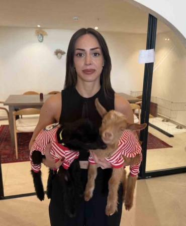 Anneleri ölen oğlakları sahiplendi, işlettiği kafede bakmaya başladı