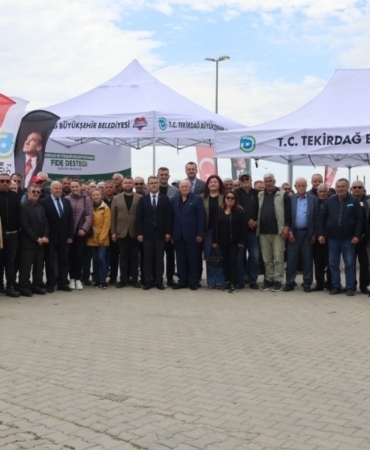 Sebze üreticilerine yarım milyon fide