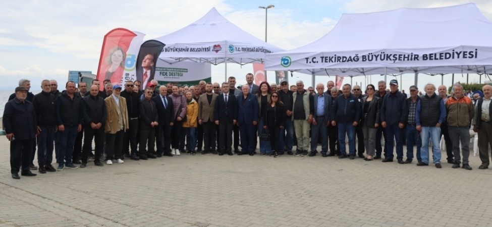 Sebze üreticilerine yarım milyon fide