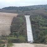 Pazaryeri tarımında altın dönem başlıyor